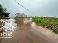 Mã Sản Phẩm: Tân Yên - Lam Cốt 01 Bán Đất Đẹp - 544M - Thôn Đông Thành, Lam Cốt, Tân Yên, Bắc Giang