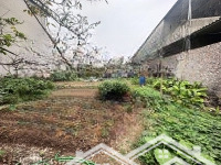 Bán Đất Trồng Cây Ăn Quả,Sẵn Nhà C4 Đt 2000Mmặt Tiền35M Giá Bán 2,6Tỷ. Xã Kim Sơn Gia Lâm Hà Nội,Đường Oto