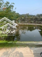 Chính Chủ Gửi Bán Đất Tại Thôn Nam Đại - Xã Quỳnh Bảo - Quỳnh Phụ - Thái Bình