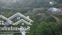 Siêu Phẩm Nghỉ Dưỡng Tại Liên Bu, Minh Quang, Ba Vì, Hn Chỉ 4.6 Tỷ. Vị Trí Đối Diện Kdl Eduland