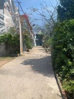 Bán Rẻ Đất Tân Bình Dĩ An Đường Oto