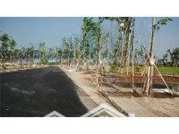 Bán Đất Cạnh Vinhome Grank Park, Phường Long Thạnh Mỹ, Tp Thủ Đức, Sổ Riêng, Giá Bán 2 Tỷ 390 Triệu