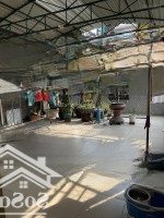 Nhà Riêng 6 Phòng Ngủ 4 Tầng Tại Cộng Hòa, 19 Tỷ, 107M2,