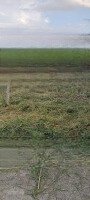 Bán Đất Thổ Cư Mặt Tiền Kênh Sáu Xe Huyện Thủ Thừa.