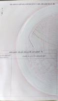Cần Bán Gấp Nhà Đất Góc 2 Mặt Tiền Đường 1.800M2 Đất Nở Hậu (Đất Ở + Đất Trồng Cây Lâu Năm)