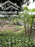 Chính Chủ Bán 46M2 Đất Xã Hạ Mỗ - Đan Phượng - Hn . 2,25 Tỷ