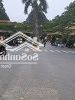 Bán Bt Tại Văn Quán, 39 Tỷ, 120 M2, Giá Cực Chất, View Đẹp