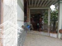 Bán Nhà Riêng Đường 20, Xã Phước Lâm, Cần Giuộc, Long An Giá Cực Chất 7,9 Tỷ, 1229M2