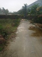 Bình Phục Thăng Bình -Bình Hiệp 177M2