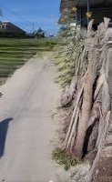 Bán Đất 144.8M2, 600 Triệu Tại Xã Ninh Lộc, Ninh Hòa, Khánh Hòa