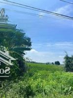 Bán Đất Phước Thuận Hồ Tràm Diện Tích: 542M2 Ngang 17.8Mx30M Có 80M2 Thổ Cư Cách Biển Melia Hồ Tràm 5,9Km