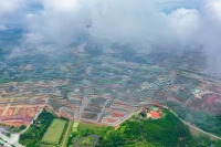 Bán Dn Hp Naia City, 30 Triệu / M2, 114 M2, Hải Yên, Móng Cái, Quảng Ninh