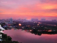Căn Hộ Chung Cư Đẹp Tại Phú Mỹ Hưng, Tân Phong, Quận 7, Tp.hcm, Giá Bán 13,7 Tỷ, 206M2