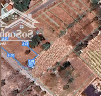 Bán Lô Đất Tân Hòa, Phú Mỹ Mặt Tiền Đường Nhựa Thông Thoáng