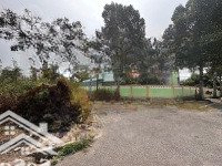 Chính Chủ Bán Cặp Nền Tái Định Cư Tân Hương 5X18M Ngay Trường Mầm Non Tân Hương, 850 Triệu, Sổ Sẵn
