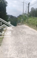 Chủ Gửi Lô Đất Xã Tân Hòa Thị Xã Phú Mỹ