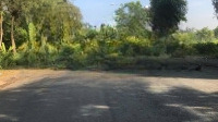 Chuyển Nhượng Px Cảng Sài Gòn, 55 Triệu / M2, 117.5 M2, View Đẹp Sổ Hồng Sang Tên Liên Hệ: 0909977118