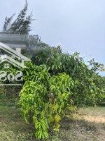 Cần Bán Một Số Thửa Đất Tại Đảo Phú Quý, Sổ Hồng Riêng, Vị Trí Tốt, Giá Hợp Lý Tại Thời Điểm Này