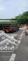 Bán Đất Hiếm Thụy Lâm, Đường Thông Ô Tô Tránh, Trung Tâm, Tiện Ích, 65M2, Chào 3.82 Tỷ