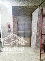 Siêu Phẩm Mặt Phố Trần Quốc Hoàn - Lô Góc 8 Tầng Thang Máy, Vỉa Hè 5M Kd Sầm Uất Giá Chỉ 33 Tỷ.