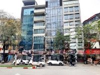 Siêu Phẩm Mặt Phố Trần Quốc Hoàn - Lô Góc 8 Tầng Thang Máy, Vỉa Hè 5M Kd Sầm Uất Giá Chỉ 33 Tỷ.