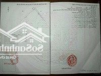 3 Miếng Liền Kề Đất Trồng Cây Hàng Năm Xã Phước Hiệp Với Tổng Hiện Tích Hơn 7200M2, Sổ Hồng