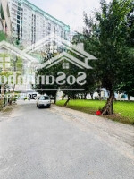 Đất Trống Phường Hiệp Tân Ngay Công Viên Hẻm 6M Thông Ra Tô Hiệudiện Tích4X14.5M Giá Bán 6.5 Tỷ Tl