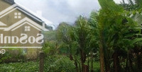 Bán Nhanh Các Lô Đất Thôn Thanh Nhì, Cẩm Thanh Gần Cầu Mới Cẩm Nam, View Sông, View Dừa
