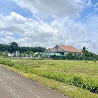 CẦN TIỀN BÁN GẤP 1021M2 ĐẤT NGAY QL 14 SÁT CHỢ, TRƯỜNG DÂN ĐÔNG BUÔN BÁN SẦM UẤT. GIÁ 220TR