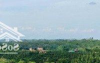Chính Chủ Bán Rẫy Thôn 10, Tuy Đức, Đắk Nông Ôm Suối View Đẹp - Cơ Hội Vàng Cho Nhà Đầu Tư