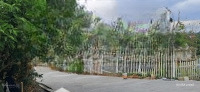Giá Sốc! Ai Cũng Có Thể Mua Sẵn Vườn Cây Trái, Sổ Riêng Ven Đà Lạt