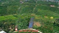 Bán Gấp Đất Thổ Cư 623M2 Tại Thị Trấn Di Linh, 4 Tỷ Vnd