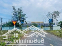 Chính Chủ Bán Lô Đất Ngay Cạnh Chợ Đầu Mối Điện Ngọc, Giá Tốt Để Đầu Tư