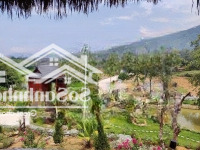 Cần Nhượng Lại Khuôn Viên Nhà Vườn 9000M2 Tại Thạch Thất, Hà Nội
