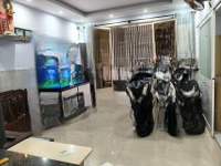 Bán Nhàhẽm Xe Hơitrịnh Đình Thảo Tân Phú- 3 Phòng Ngủgần Chung Cư Topaz Garden Dt: (4 X12,5) Hơn 5 Tỷ .