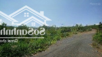 Chính Chủ Cần Bán Lô Đất View Vip Gần Khu Villa Chân Mây Lộc Thành - Bảo Lâm - Lâm Đồng