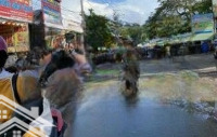 Bán Nhà Xưởng Tại Tân Bình, Dĩ An, Bình Dương
