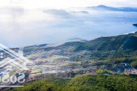 Chương Trình Bán Hàng Đặc Biệt & Giỏ Hàng Villa Biển Đẹp Nhất Anara Bình Tiên Tháng 4/2025