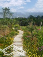 Chính Chủ Bán Lô Đất View Núi Ba Vì Thoáng Đẹp Tại Thôn Rùa, Vân Hoà, Ba Vì (2520M, 150M Thổ Cư)