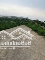 Cơ Hội Đầu Tư Sinh Lời Bán Đất Kcn Cần Đước , Long An , Diện Tích : 40.000M2, Giá : 155K/M2