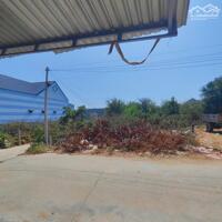 Bán đất biển KDL Cổ Thạch, QH đường 29m - Tuy Phong, Bình Thuận, Giá chỉ 6,5tr/m2