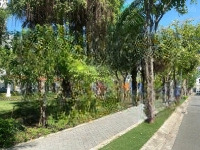 Biệt Thự Ngay Trung Tâm Hành Chính Quận 2 Victoria Village Thạnh Mỹ Lợi Sổ Hồng Trao Tay