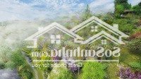 Bán Nhanh 1000M2 Kdc Full Hồng, Trung Tâm Lộc Thành, Đường Nhựa Nhà Nước 9M Chỉ 1.3 Tỷ - 0898761919