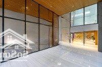 Bán Tòa Nhà Mặt Tiền Quang Trung, Q. Gò Vấp - Dt: 11X30M - Hầm 7 Tầng - Hđt: 300 Triệu - Giá: 55 Tỷ