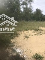 Bán Đất 4900M2 Tại Xã Bình Minh, Thăng Bình, Quảng Nam, Giá Thỏa Thuận, Cơ Hội Đầu Tư Hot