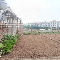 Bán Nhà Lệ Chi - Gia Lâm - Siêu Rẻ - Thông Thoáng - 55M2 - 2,4 Tỷ