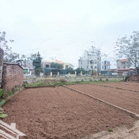 Bán Nhà Lệ Chi - Gia Lâm - Siêu Rẻ - Thông Thoáng - 55M2 - 2,4 Tỷ