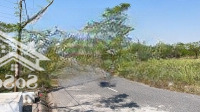 Cực Hót Tại Tdc Bạch Mai Đồng Thái An Dương Hải Phòng Diện Tích 81M Siêu Đẹp Ko Chút Lỗi Lầm