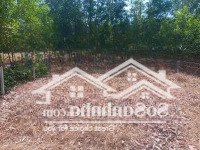 Bán Đất Xây Sát Văn Minh.diện Tích11X25M Tc 50. Giá Bán 2,750 Tỷ