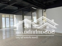 Cho Thuê Văn Phòng 1000M2 Tại Giảng Võ, Ba Đình, Hà Nội, Giá 250 Nghìn / M2